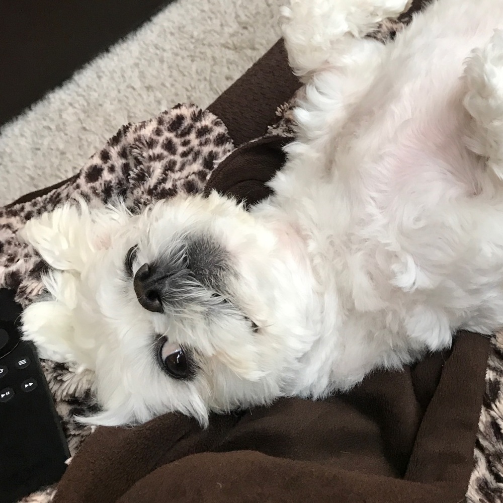 Meet your Posher, Chantyl